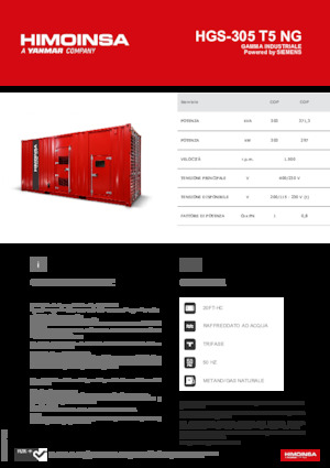 Benzine Generatoren HIMOINSA HGS-305 T5 NG