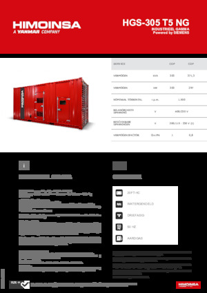 Benzine Generatoren HIMOINSA HGS-305 T5 NG