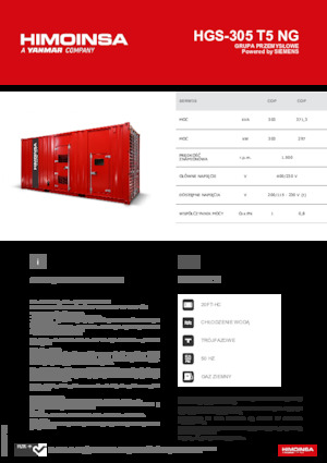Benzine Generatoren HIMOINSA HGS-305 T5 NG