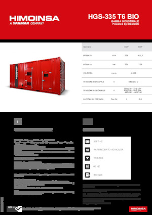 Benzine Generatoren HIMOINSA HGS-335 T6 BIO