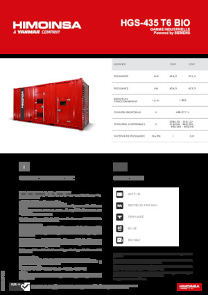 Benzine Generatoren HIMOINSA HGS-435 T6 BIO
