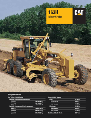 Sorteermachines Caterpillar 163H