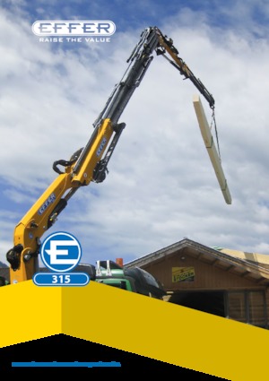 Hydraulische laadkranen Effer 315 6S
