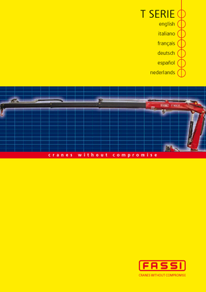 Hydraulische laadkranen Fassi F 100 AT 13