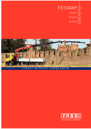 Hydraulische laadkranen Fassi F 310 AXP 22