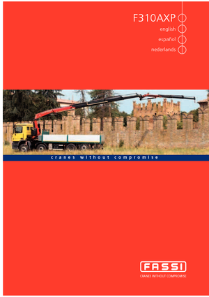 Hydraulische laadkranen Fassi F 310 AXP 22