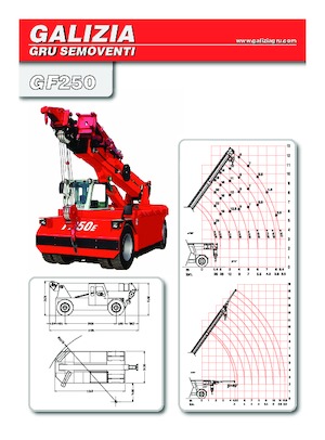 Industriële mobiele kranen Galizia GF 250
