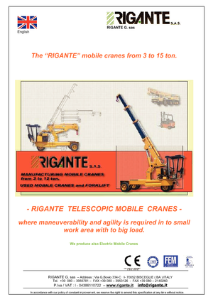 Industriële mobiele kranen Rigante GR 100