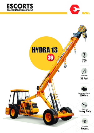 Industriële mobiele kranen Escorts Hydra 1336