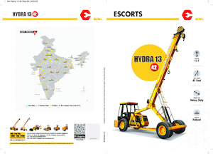 Industriële mobiele kranen Escorts Hydra 1342