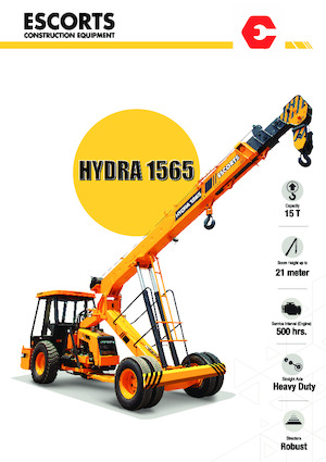 Industriële mobiele kranen Escorts Hydra 1565