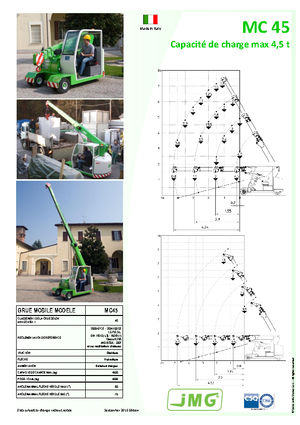 Industriële mobiele kranen JMG MC 45