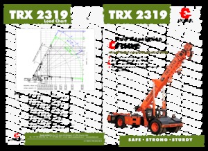 Industriële mobiele kranen Escorts TRX 2319