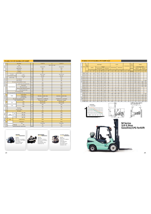 LPG-vorkheftrucks Maximal FGL 30 T-M2WA3