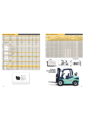 LPG-vorkheftrucks Maximal FL 50 T-M1WE3