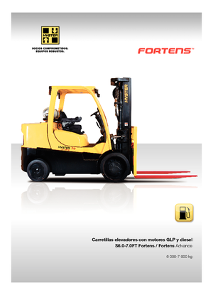 LPG-vorkheftrucks Hyster S6.0FT