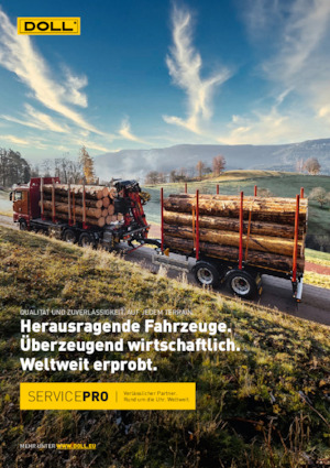 Diepladers Doll LOGO 14