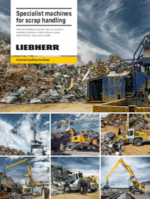 Graafmachines in overslaguitvoering Liebherr LH 26 P Industry Litronic