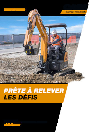 Mini-graafmachines Case CX19C