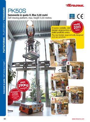 Enkele mast verticale hoogwerkers Faraone PK 50 S