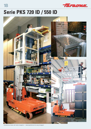 Enkele mast verticale hoogwerkers Faraone PKS 550 ID