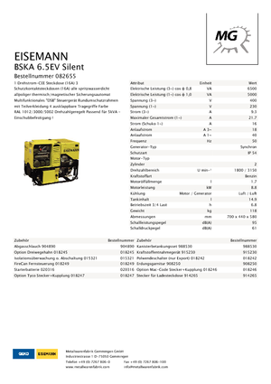 Benzine Generatoren Eisemann BSKA 6.5 EV
