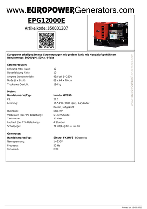 Benzine Generatoren Europower EPG12000E (S)