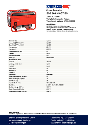 Benzine Generatoren Endress ESE 606 HS-GT ES