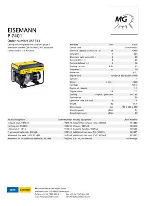 Benzine Generatoren Eisemann P 7401