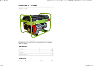 Benzine Generatoren PRAMAC Lifter PX 5000m