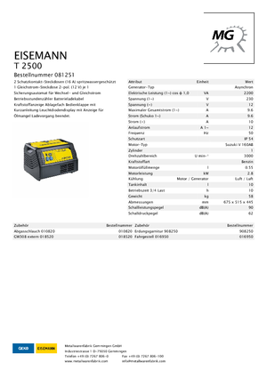 Benzine Generatoren Eisemann T 2500