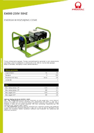 Benzine Generatoren PRAMAC Lifter E 4000