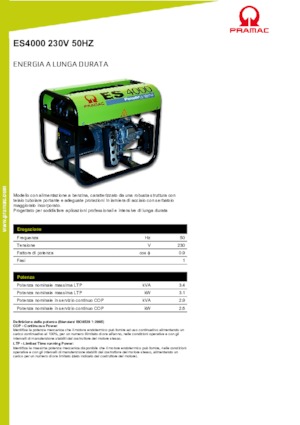 Benzine Generatoren PRAMAC Lifter ES 4000