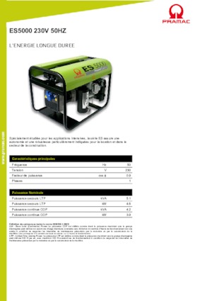 Benzine Generatoren PRAMAC Lifter ES 5000