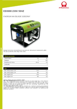 Benzine Generatoren PRAMAC Lifter ES 5000