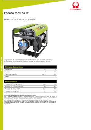 Benzine Generatoren PRAMAC Lifter ES 8000