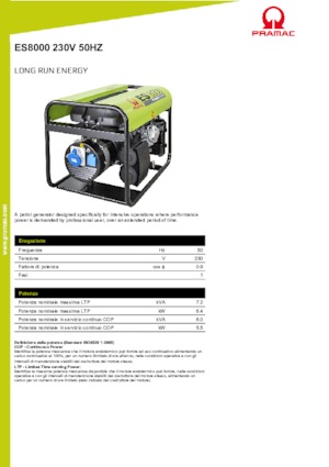 Benzine Generatoren PRAMAC Lifter ES 8000