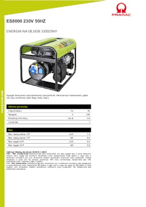 Benzine Generatoren PRAMAC Lifter ES 8000