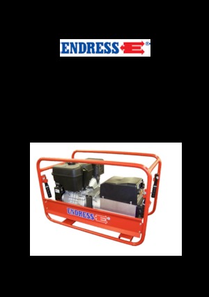Benzine Generatoren Endress ESE 1006 SDHS-DC ES / 30-300 A