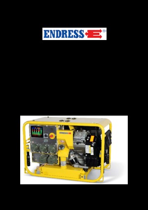 Benzine Generatoren Endress ESE 1304 DBG ES DIN