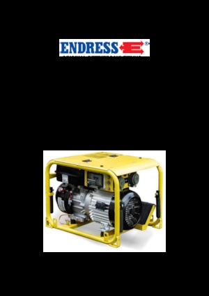 Benzine Generatoren Endress ESE 304 HG DIN