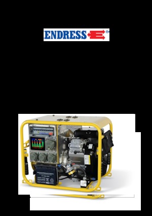 Benzine Generatoren Endress ESE 604 DBG DIN