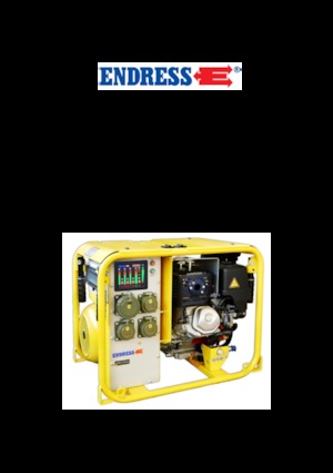Benzine Generatoren Endress ESE 604 DHG DIN