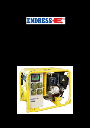 Benzine Generatoren Endress ESE 604 DHG DIN
