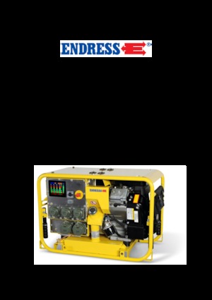 Benzine Generatoren Endress ESE 904 DBG DIN