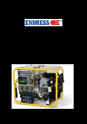 Benzine Generatoren Endress ESE 954 DBG DIN