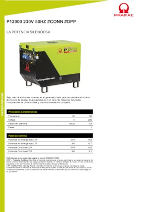 Benzine Generatoren PRAMAC Lifter P 12000 THB