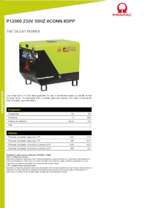 Benzine Generatoren PRAMAC Lifter P 12000 THB