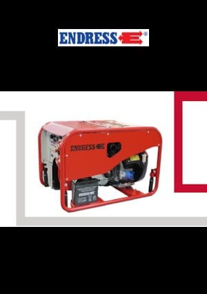 Benzine Generatoren Endress SEA 13