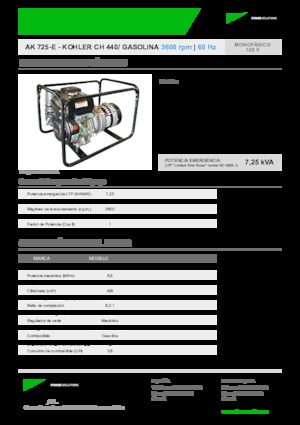 Benzine Generatoren INMESOL AK 725-E